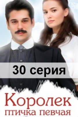 Королек – птичка певчая (2013) 30, 31, 32, 33, 34 серия на русском языке с субтитрами смотреть фильм